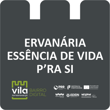 ervanaria-essencia-da-vida-pra-si-img