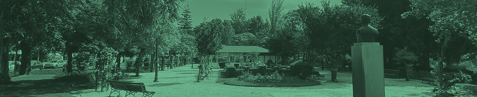 Vendor Banner